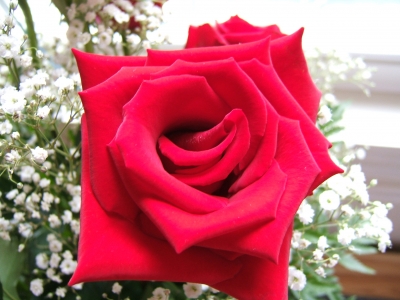 DSCF1939.JPG