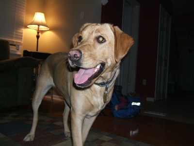 DSCF2360.JPG