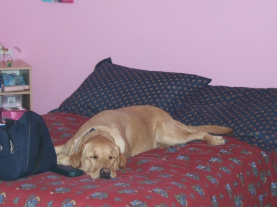 DSCF2364.JPG