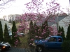 DSCF0997.JPG