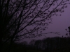 DSCF1047.JPG