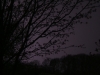 DSCF1048.JPG