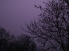 DSCF1077.JPG