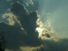 DSCF1390.JPG