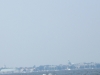DSCF1896.JPG