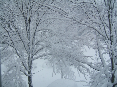 DSCF0958.JPG