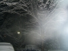 DSCF0950.JPG