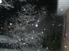 DSCF0951.JPG