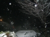 DSCF0952.JPG