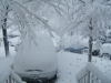 DSCF0955.JPG