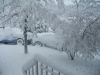 DSCF0956.JPG