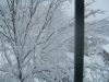 DSCF0957.JPG