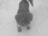 DSCF0970.JPG