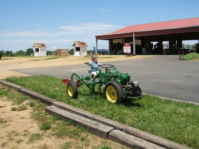 DSCF1469.JPG