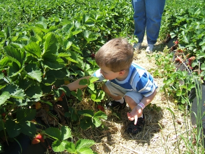 DSCF1477.JPG