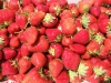 DSCF1478.JPG