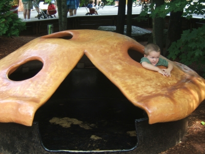 DSCF1768.JPG