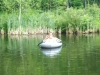 DSCF1676.JPG