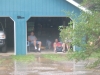 DSCF1715.JPG