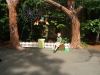 DSCF1761.JPG