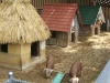 DSCF1773.JPG