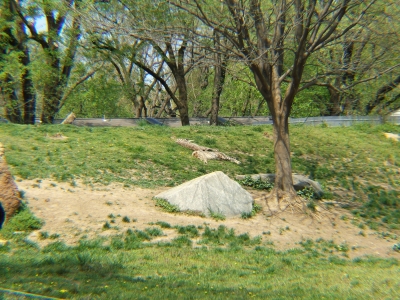 DSCF1303.JPG