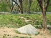 DSCF1302.JPG