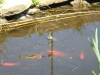 DSCF1304.JPG