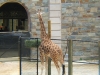 DSCF1307.JPG
