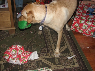 IMG_0863.JPG