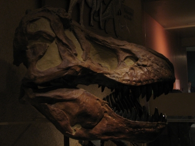 IMG_0093.JPG