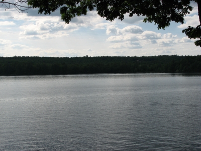 IMG_0384.JPG