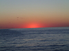 PB250236.JPG