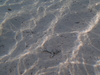 Filename=PB270356.JPG
Filesize=4758KiB
Dimensions=3968x2976
Date added=Dec 02, 2012 PB270356.JPG