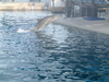 Filename=PB270379.JPG
Filesize=4302KiB
Dimensions=3968x2976
Date added=Dec 02, 2012 PB270379.JPG