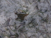 PB280413.JPG