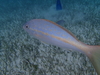 PB280422.JPG